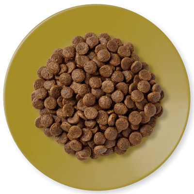 Applaws Adult Chicken with Lamb granule foto